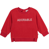 Textiel Meisjes Sweaters / Sweatshirts Carrément Beau Y95256-992 Rood