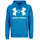 Textiel Heren Sweaters / Sweatshirts Under Armour UA RIVAL FLEECE BIG LOGO HD Blauw