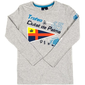 Textiel Kinderen T-shirts & Polo’s Gaastra 44744041-H73 Grijs