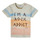 Textiel Jongens T-shirts korte mouwen Ikks XS10061-60 Multicolour