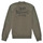 Textiel Jongens Sweaters / Sweatshirts Ikks XS17043-57-J Kaki