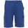 Textiel Heren Korte broeken / Bermuda's Payper Wear Bermuda Payper Rimini Summer Blauw
