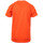 Textiel Jongens T-shirts & Polo’s Hungaria  Orange