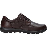 Schoenen Heren Sneakers Enval 6216222 Brown