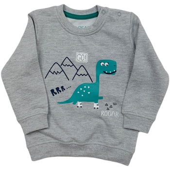 Textiel Kinderen Sweaters / Sweatshirts Losan 027-6652AL Grijs