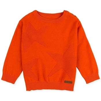 Textiel Kinderen Truien Losan 027-5653AL Orange