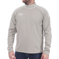 Textiel Heren Sweaters / Sweatshirts Hungaria  Groen