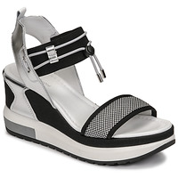 Schoenen Dames Sandalen / Open schoenen NeroGiardini CAMINO Zwart / Zilver