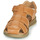 Schoenen Jongens Sandalen / Open schoenen Citrouille et Compagnie MELTOUNE Brown