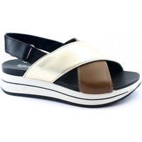 Schoenen Dames Sandalen / Open schoenen IgI&CO IGI-E21-7161266-BI Brown