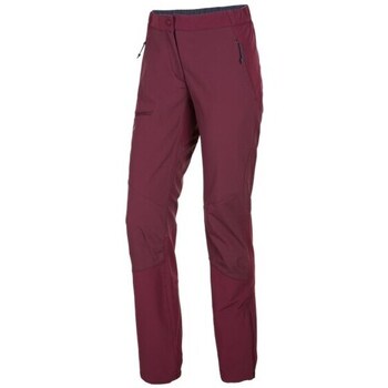 Textiel Dames Broeken / Pantalons Salewa Puez Bordeaux