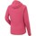 Textiel Dames Sweaters / Sweatshirts Salewa Fanes PL Rouge, Rose