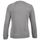 Textiel Dames Sweaters / Sweatshirts Sols NELSON WOME Grijs