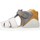 Schoenen Jongens Sandalen / Open schoenen Biomecanics 212136 Grijs