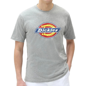 Textiel Heren T-shirts korte mouwen Dickies  Grijs
