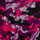 Accessoires Dames Sjaals Buff 57300 Multicolour