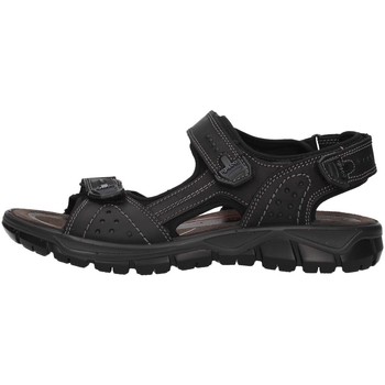 Schoenen Heren Sandalen / Open schoenen IgI&CO 5147800 Zwart