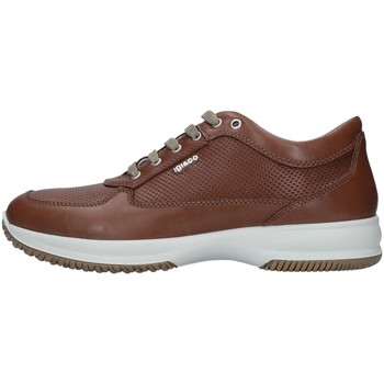 Schoenen Heren Lage sneakers IgI&CO 7119022 Brown