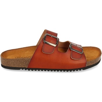 Schoenen Dames Sandalen / Open schoenen Clowse VR1-268 Brown