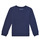 Textiel Jongens Sweaters / Sweatshirts Desigual ROBLE Marine