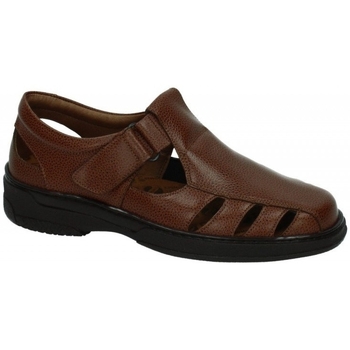 Schoenen Heren Sandalen / Open schoenen Primocx  Brown