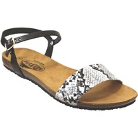 Schoenen Dames Sandalen / Open schoenen Plakton Mam-ambo-575725 Zwart