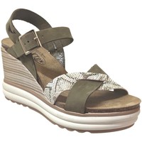 Schoenen Dames Sandalen / Open schoenen Plakton Plantio Groen