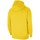 Textiel Heren Sweaters / Sweatshirts Nike Team Park 20 Hoodie Geel