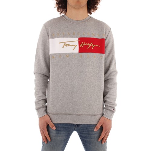 Textiel Heren Sweaters / Sweatshirts Tommy Hilfiger MW0MW16756 Grijs