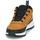 Schoenen Kinderen Lage sneakers Timberland FIELD TREKKER LOW Graan