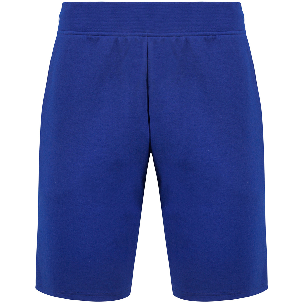 Textiel Heren Korte broeken / Bermuda's Le Coq Sportif Short slim  Essentiels Blauw