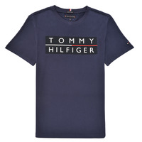 Textiel Jongens T-shirts korte mouwen Tommy Hilfiger TERRAD Marine