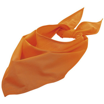Accessoires Sjaals Sols BANDANA Naranja Orange