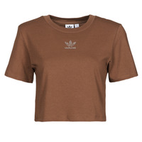 Textiel Dames T-shirts korte mouwen adidas Originals CROPPED  TEE Brown