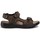 Schoenen Heren Sandalen / Open schoenen Marco Tozzi 18400 Brown