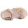 Schoenen Heren Sandalen / Open schoenen Shone L6133-036 Nude Roze