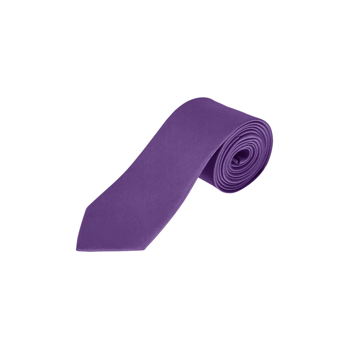 Textiel Heren Anzüge und Krawatte Sols GARNER - CORBATA Violet
