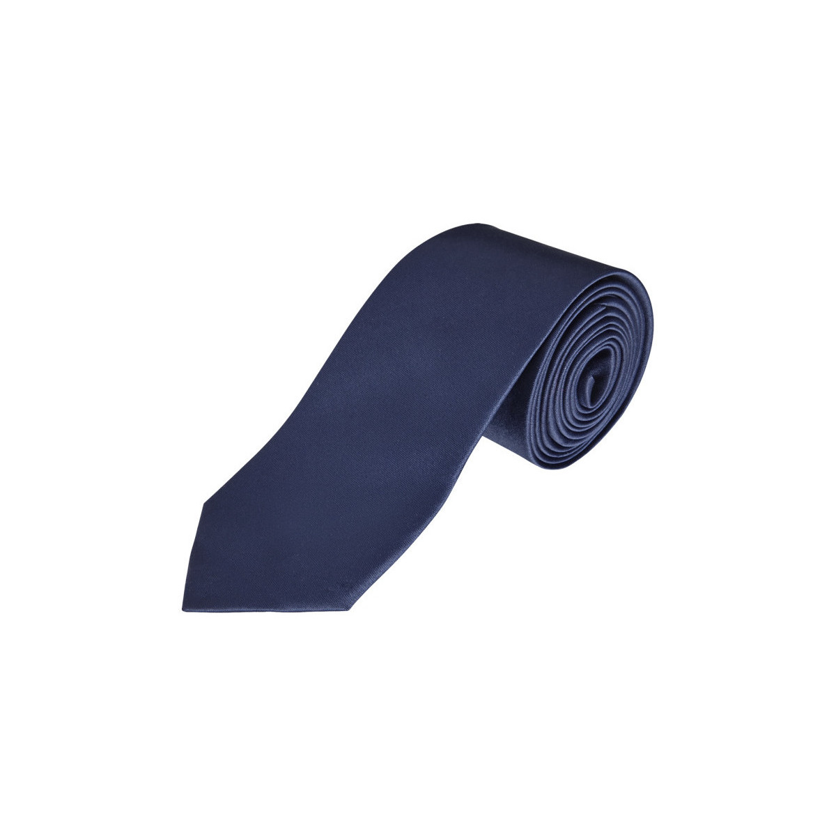 Textiel Heren Anzüge und Krawatte Sols GARNER - CORBATA Blauw