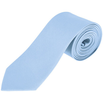 Textiel Krawatte und Accessoires Sols GARNER Azul Claro Blauw