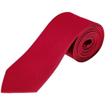 Textiel Krawatte und Accessoires Sols GARNER Rojo Rood
