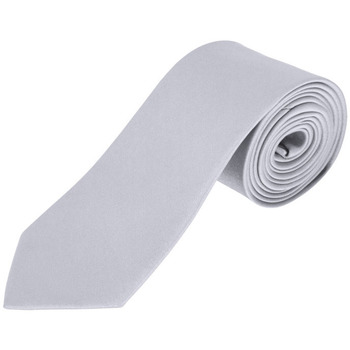 Textiel Krawatte und Accessoires Sols GARNER Silver Plata Zilver