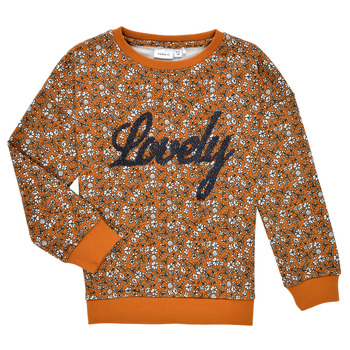 Textiel Meisjes Sweaters / Sweatshirts Name it NKFKAFRA LS SWEAT Orange