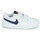 Schoenen Kinderen Lage sneakers Nike NIKE PICO 5 (TDV) Wit / Blauw