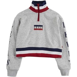 Textiel Meisjes Sweaters / Sweatshirts Levi's  Grijs