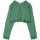 Textiel Meisjes Sweaters / Sweatshirts Villalobos  Groen
