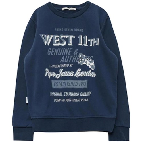 Textiel Jongens Sweaters / Sweatshirts Pepe jeans  Blauw