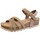 Schoenen Sandalen / Open schoenen Coquette 25253-24 Brown