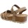 Schoenen Sandalen / Open schoenen Coquette 25253-24 Brown