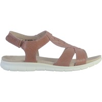 Schoenen Dames Sandalen / Open schoenen Enza Nucci 168052 Roze