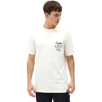 Textiel Heren T-shirts & Polo’s Dickies DK0A4X9NECR1 Wit